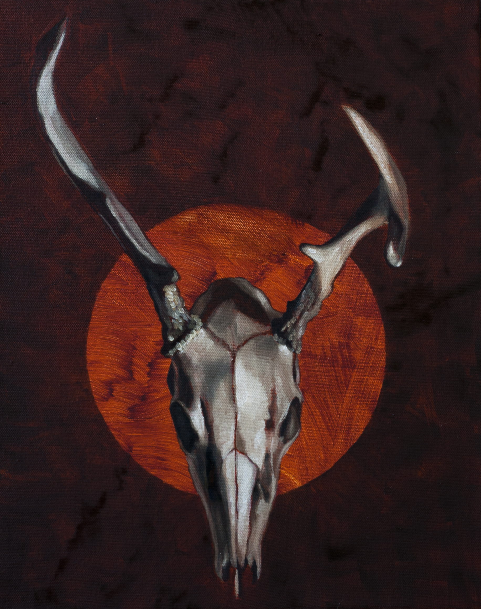 Deer Skull